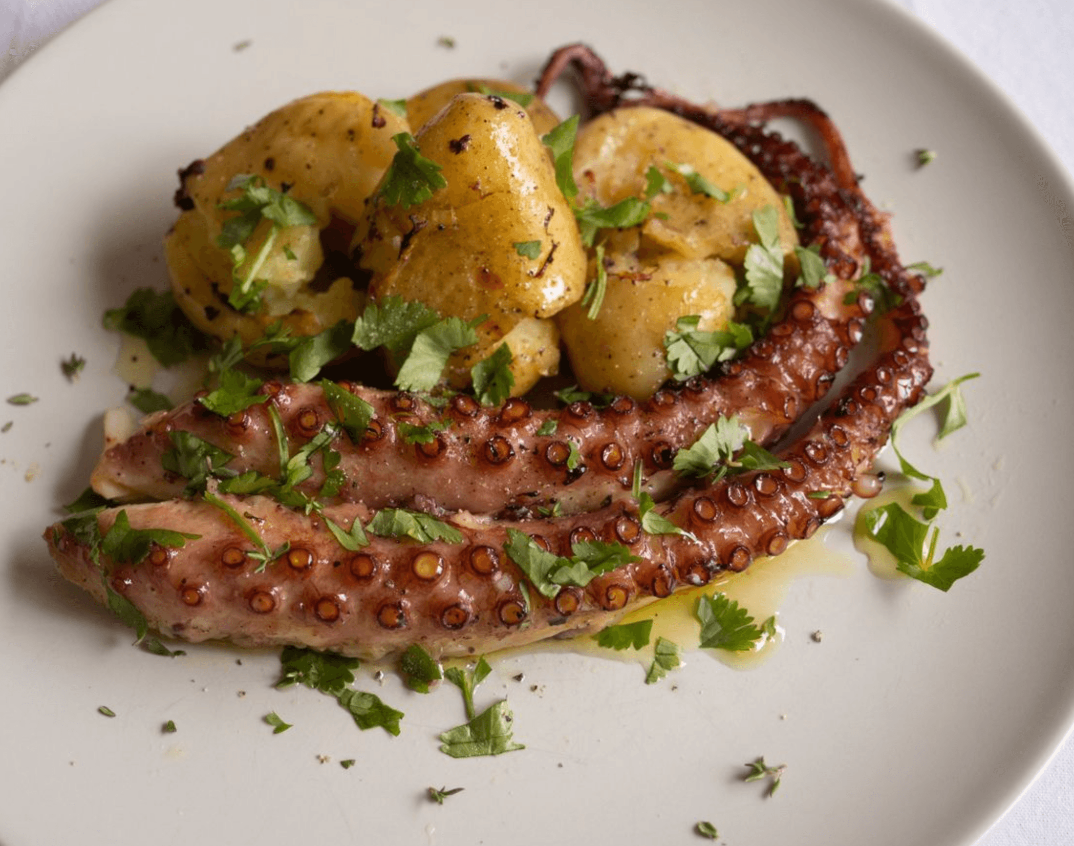 Octopus Lagareiro