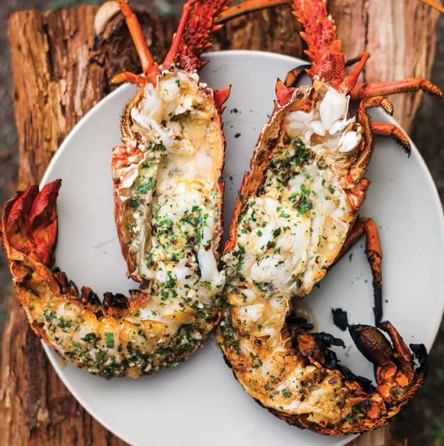 Grilled Lobster